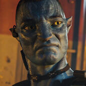 Miles Quaritch Miles Quaritch